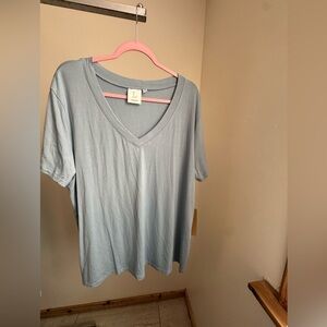 Light Blue V-Neck Women's Top